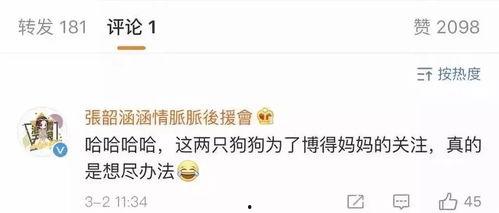 一些关于娱乐圈吃瓜总结,揭秘明星幕后故事与八卦传闻