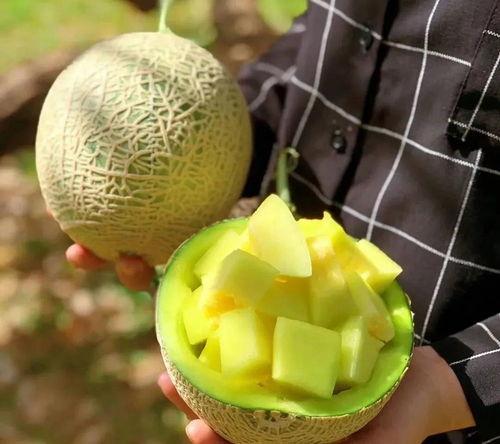 娱乐吃瓜壁纸高清图,一图览尽娱乐圈风云变幻