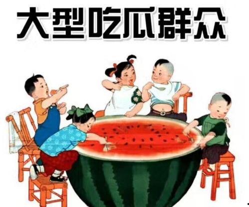 娱乐吃瓜菌中国式教育,娱乐吃瓜菌视角下的独特现象解析