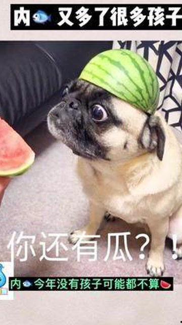 娱乐圈子吃瓜群众是谁