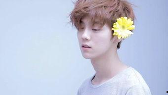 娱乐吃瓜社肖战